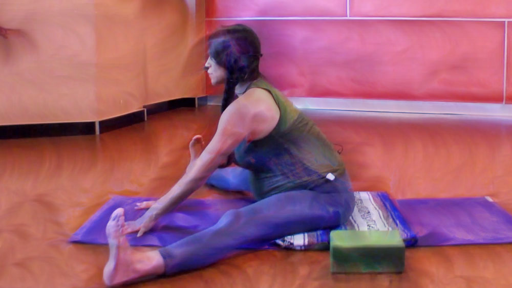 Pregnancy Yoga Poses