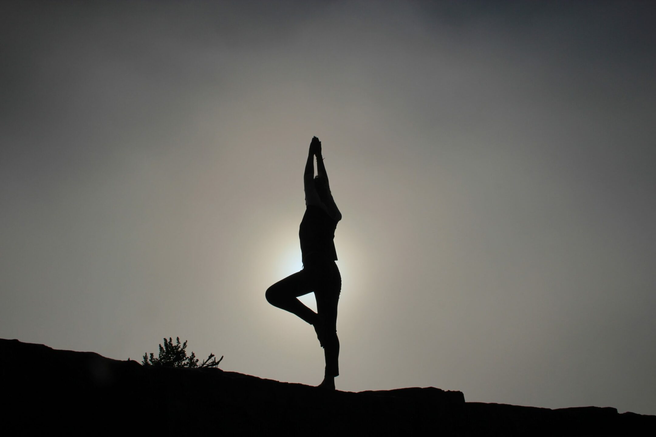 longevity and breath rate