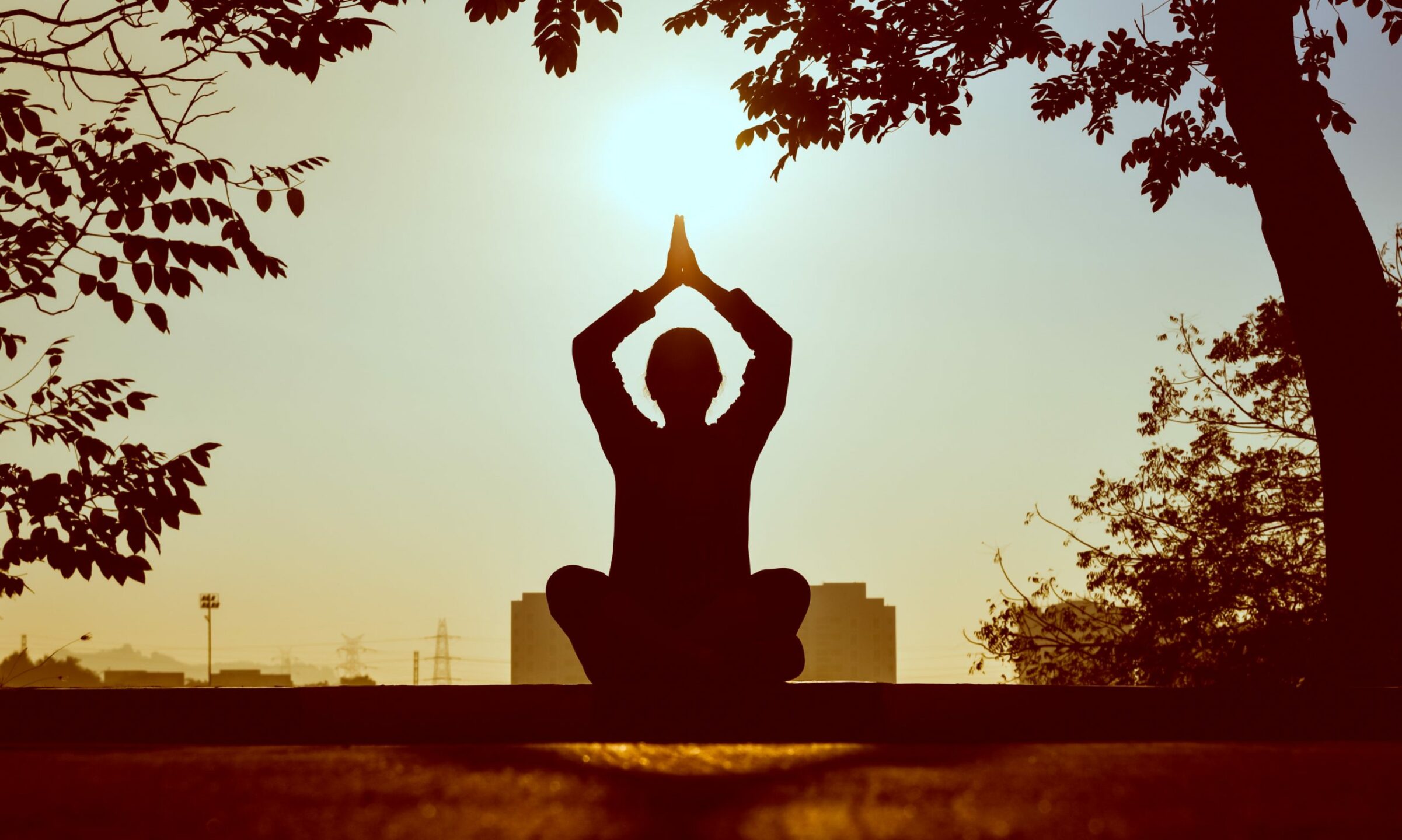 why yogis love sleep