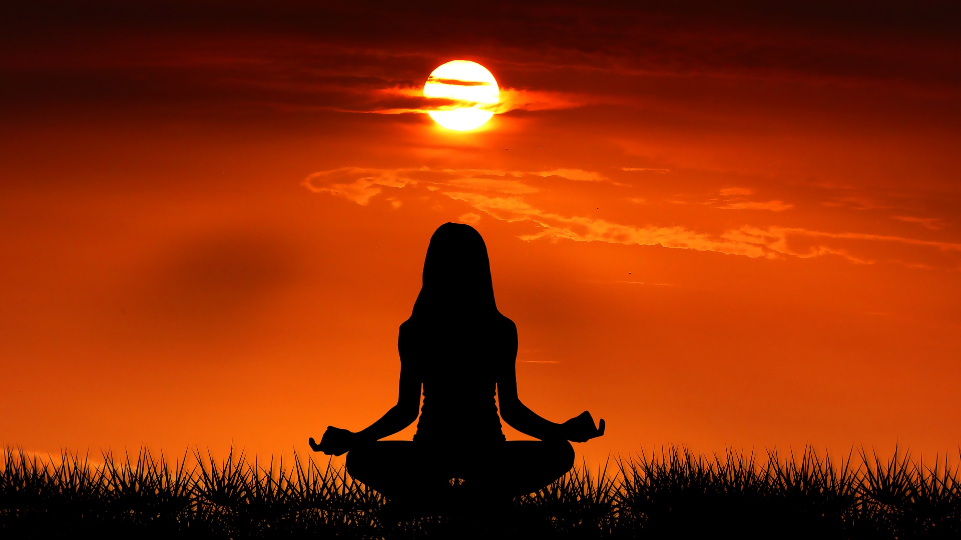 hatha vs vinyasa