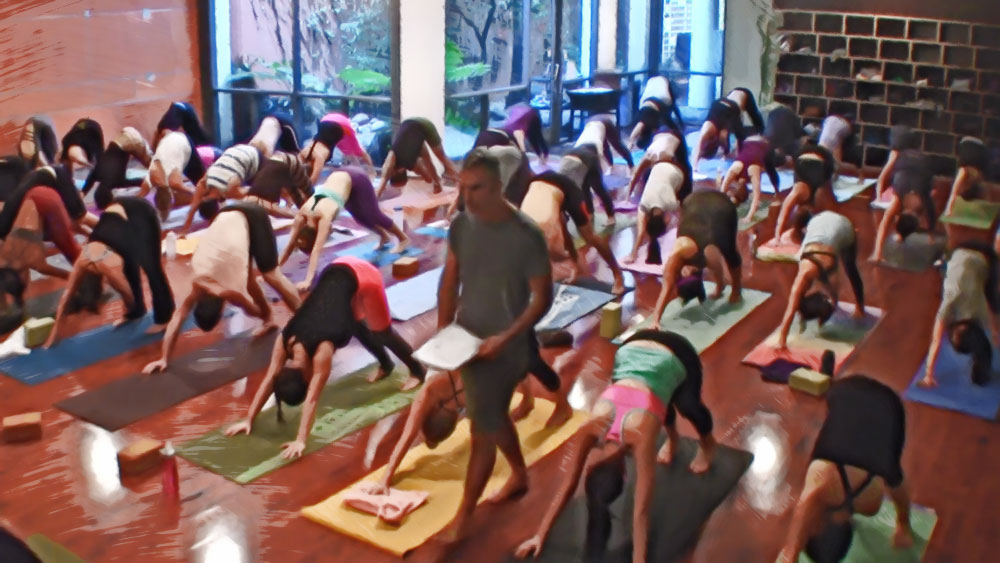Yoga Teacher Training